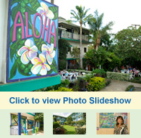 Photo Slideshow of our hotel grounds and gardens